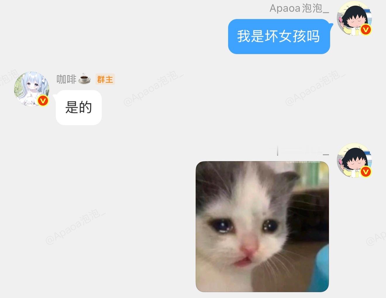 我是坏女孩吗 