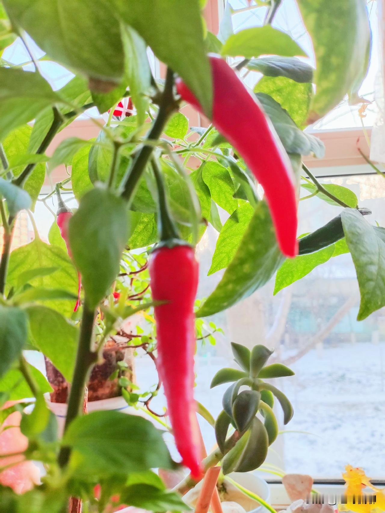 估计旁边也不是什么正经货，谁家好孩子会如此[呲牙]叫这些货把钱争取简直是社会的悲