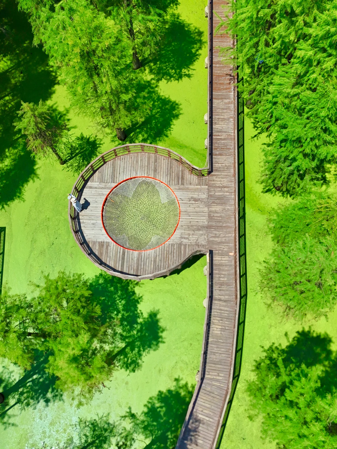 3月份宠粉福利，免费寄送现金600元🧧