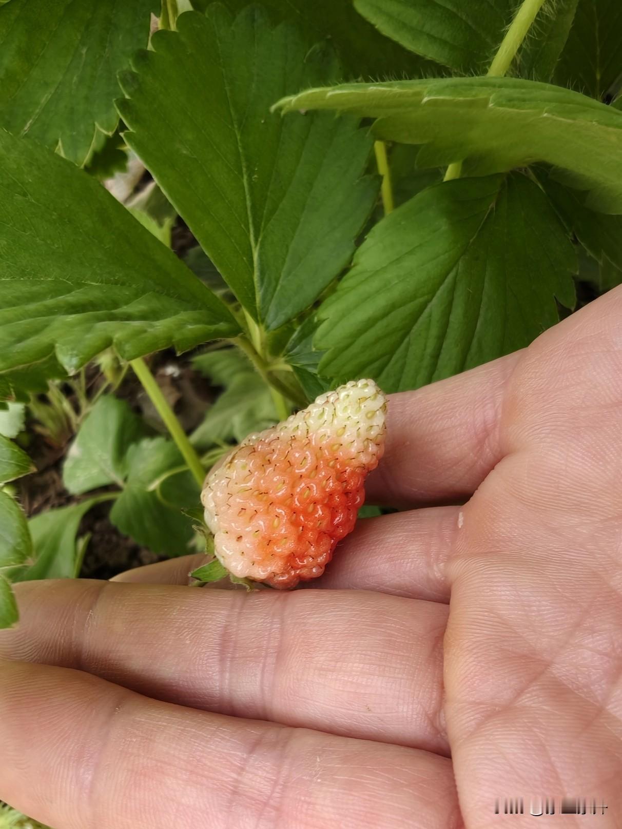 我终于发现，媳妇儿不觉得累的秘密

媳妇儿爱收拾家，
喜欢收拾后的整洁干净，
收