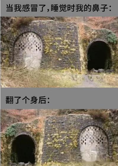 感冒之后，我的鼻子……这图太传神了！ ​​​