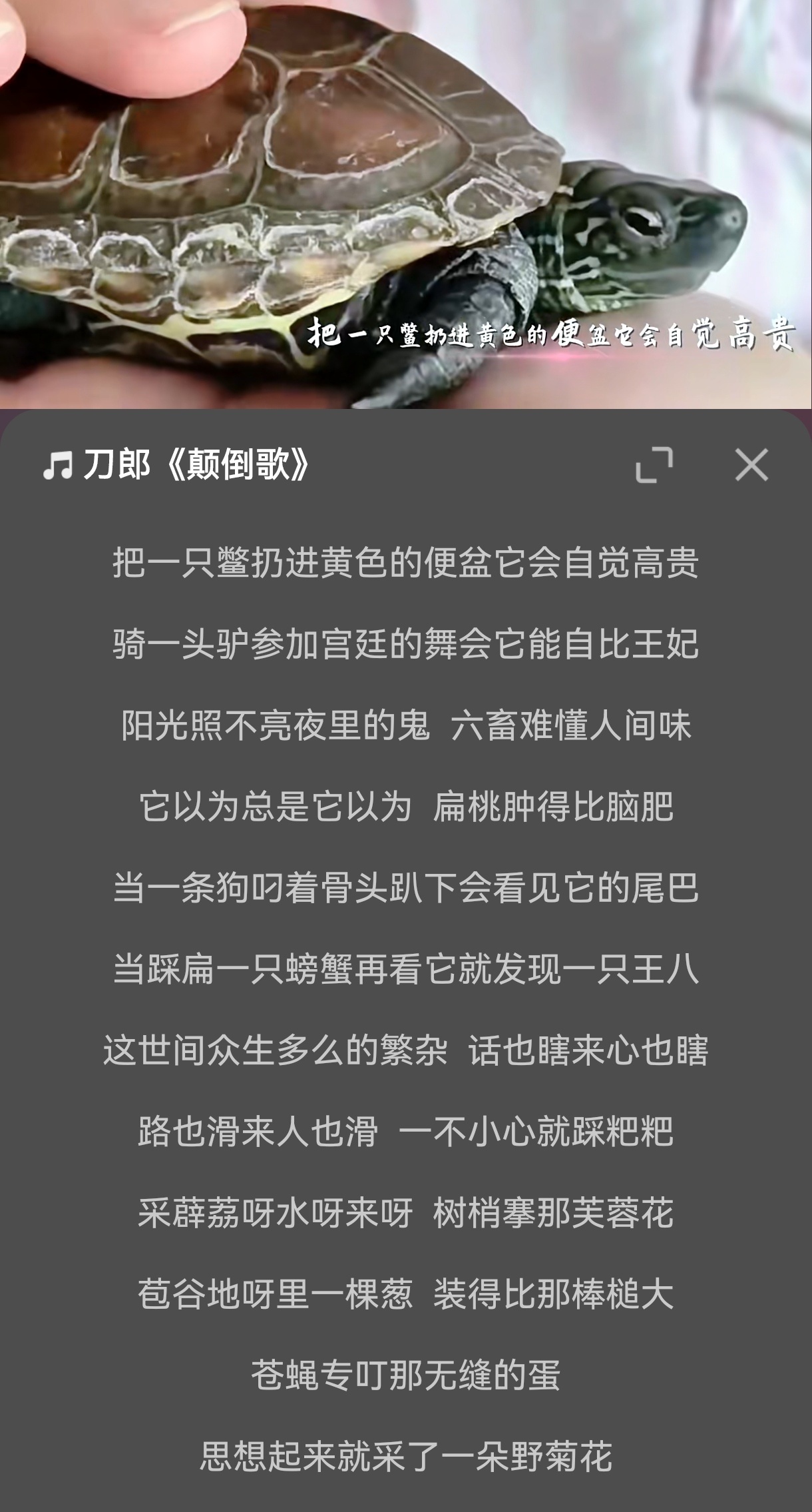 生活手记这个歌词……