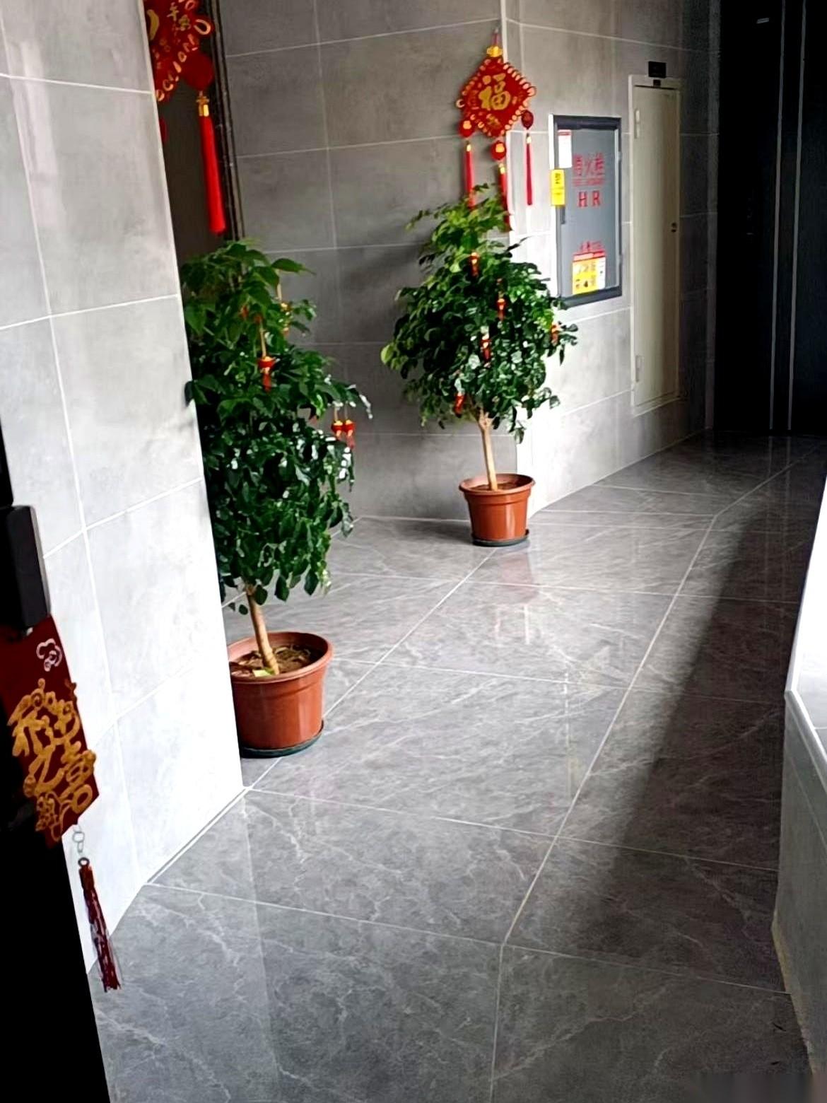 那个两百多块的榴莲，就这么大喇喇地堵在我家门口。
这哪是送礼？这明明是买断我整个