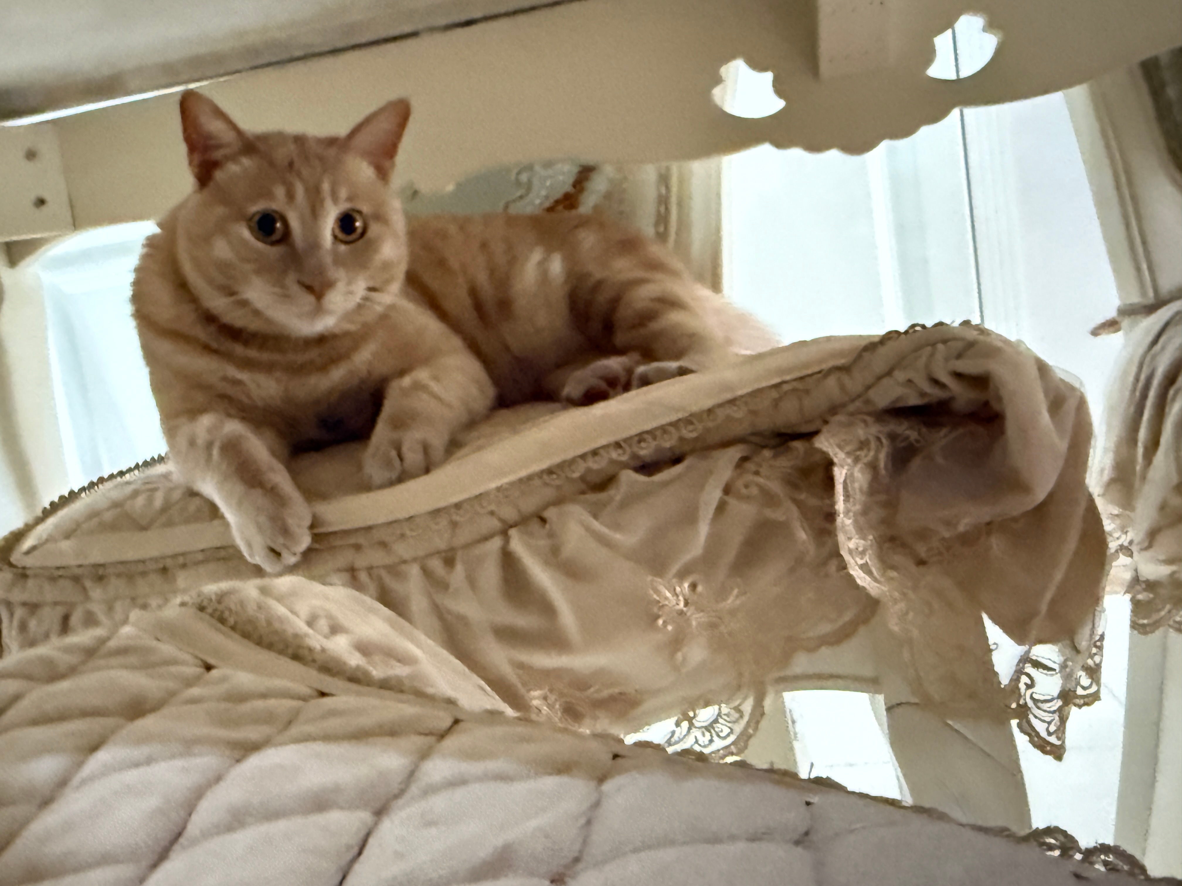 发点中午饭🥣图三这个番茄炒蛋简直是报恩番茄🍅超级无敌多汁好吃😋一碗饭打底！