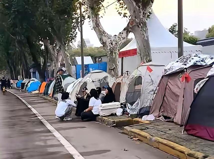 说景德镇没有房间了只能睡帐篷了 ​​​