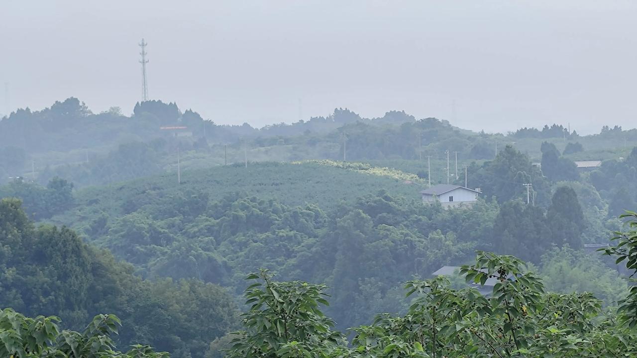 记录我的2026家乡的风景，今日随手拍欣赏！自然风景图片分享