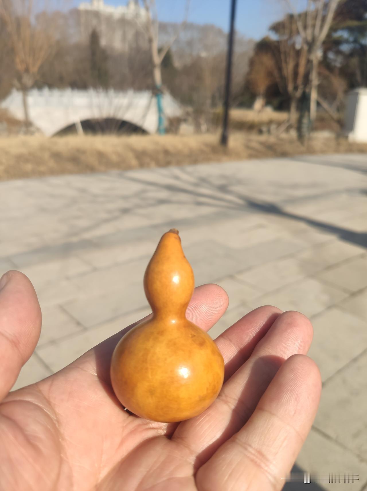 这一段时间里，国际形势是瞬息万变，俄乌战争、两伊战争、委内瑞拉变天、伊朗危机乃至