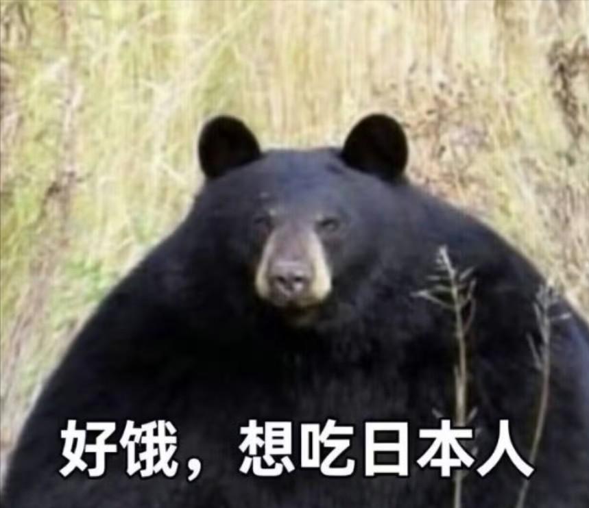 据朝日新闻报道称，11月15日，在群马县六名日本人围猎黑熊，猎枪射击后熊倒地装死