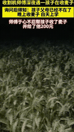 善良永远是最温暖的光！收割机师傅大善人，做了好事，这个小孩不简单，这么小经受着磨