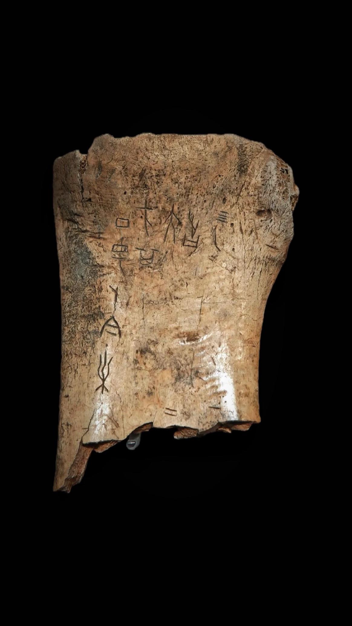 商代·甲骨文。濬哲维商，长发其祥 洪水芒芒，禹敷下土方 外大国是疆，幅...