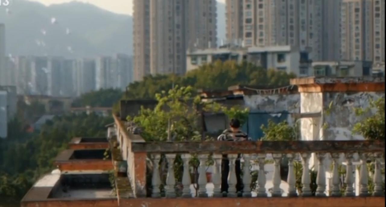 阳光漫过书页，在木质桌面上落下温柔的光斑。有人在城市老屋顶静读，有人在飞驰的车厢