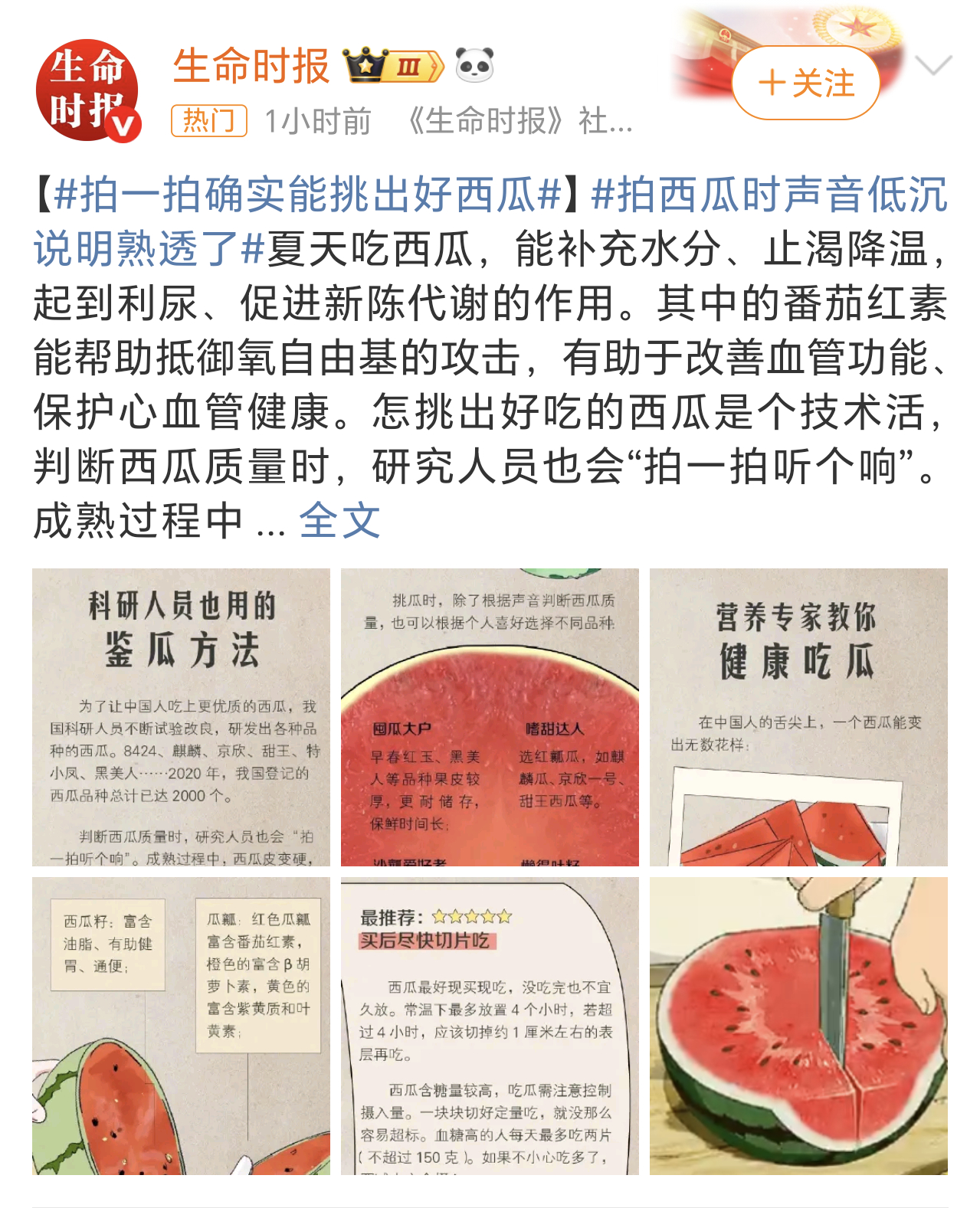 拍一拍确实能挑出好西瓜记得小时候我姨家就种过西瓜，放暑假的时候就跟着去瓜地里摘西