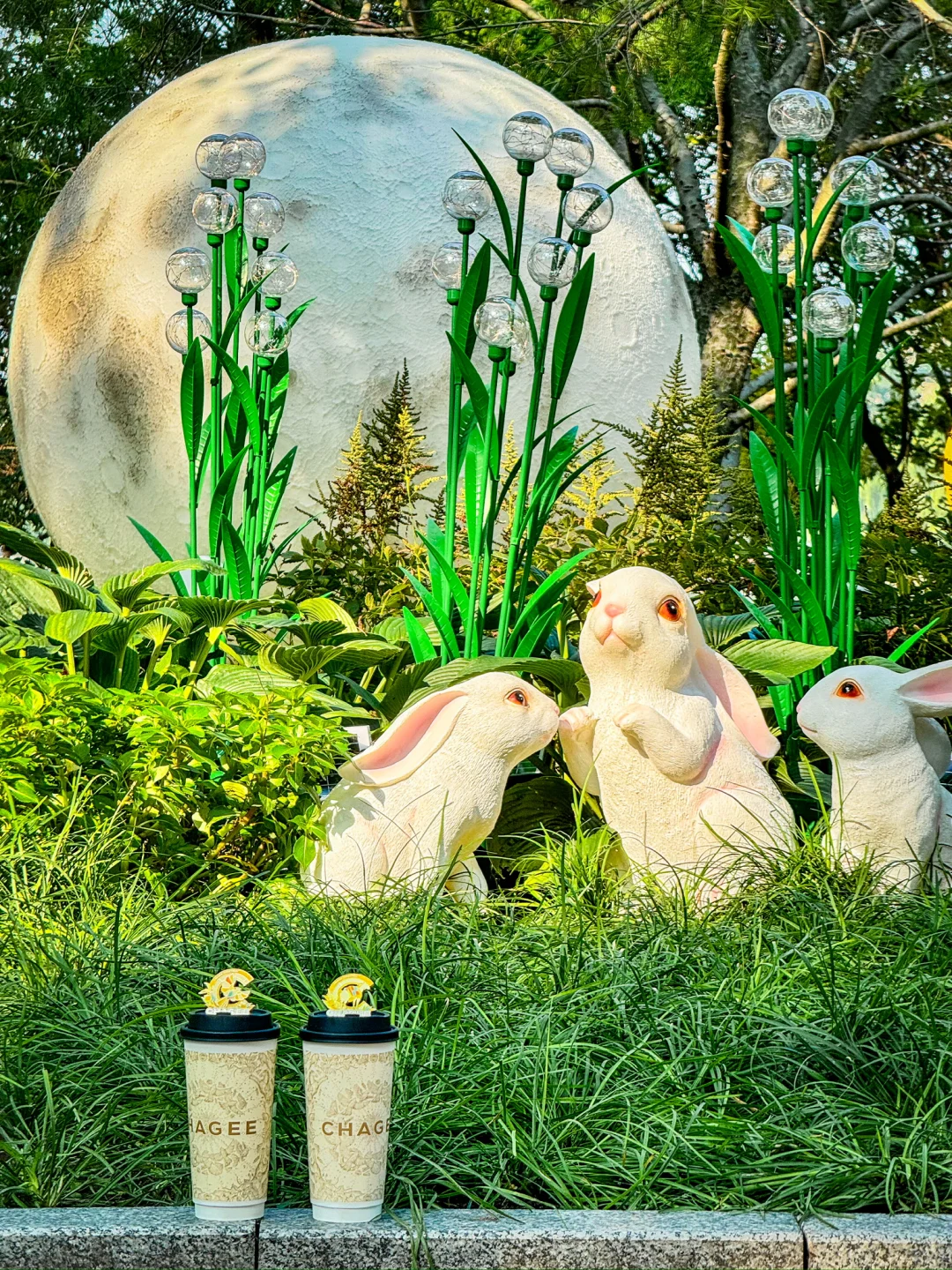 中秋接好运！🍀姬姐是懂中式浪漫的🌛