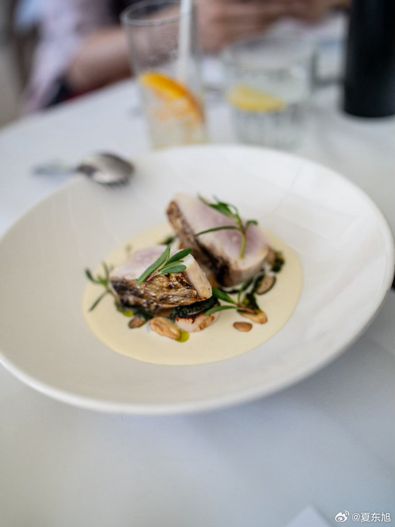 老夏的环球旅行｜澳大利亚🇦🇺新南威尔士州 美食合集悉尼篇我爱悉尼 Benne