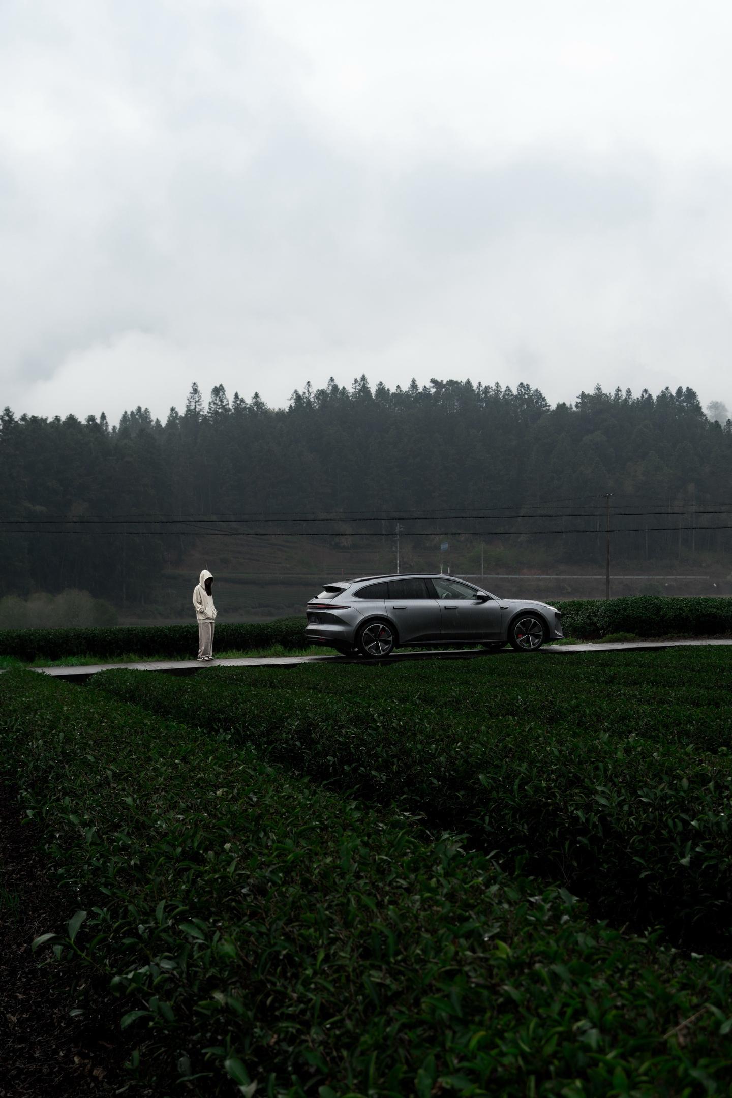 听风声，感受生活的温度。