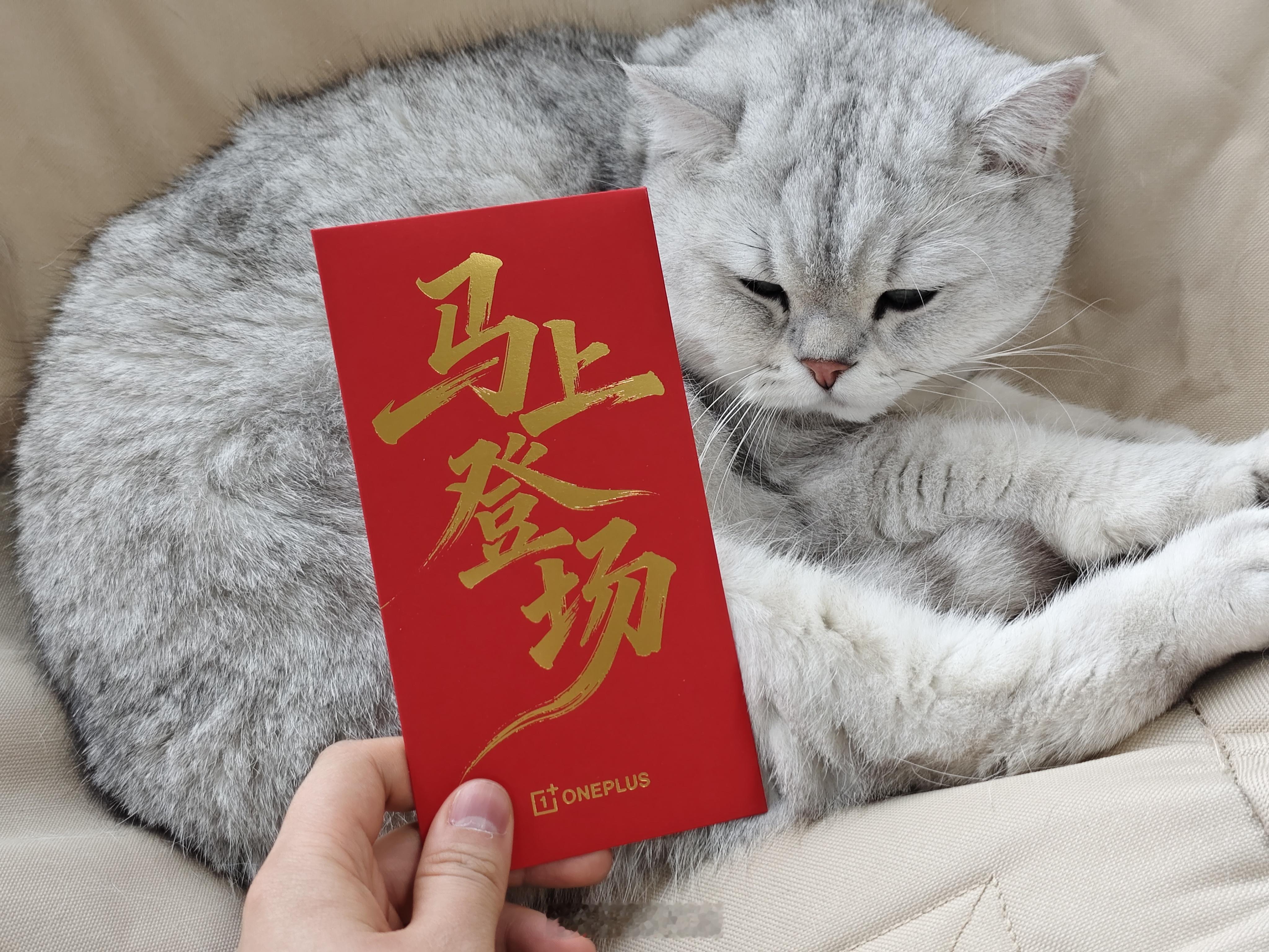 今天是初八，先祝大家开工大吉，我们也收到了一加的开工利是，里面是一片足金999 