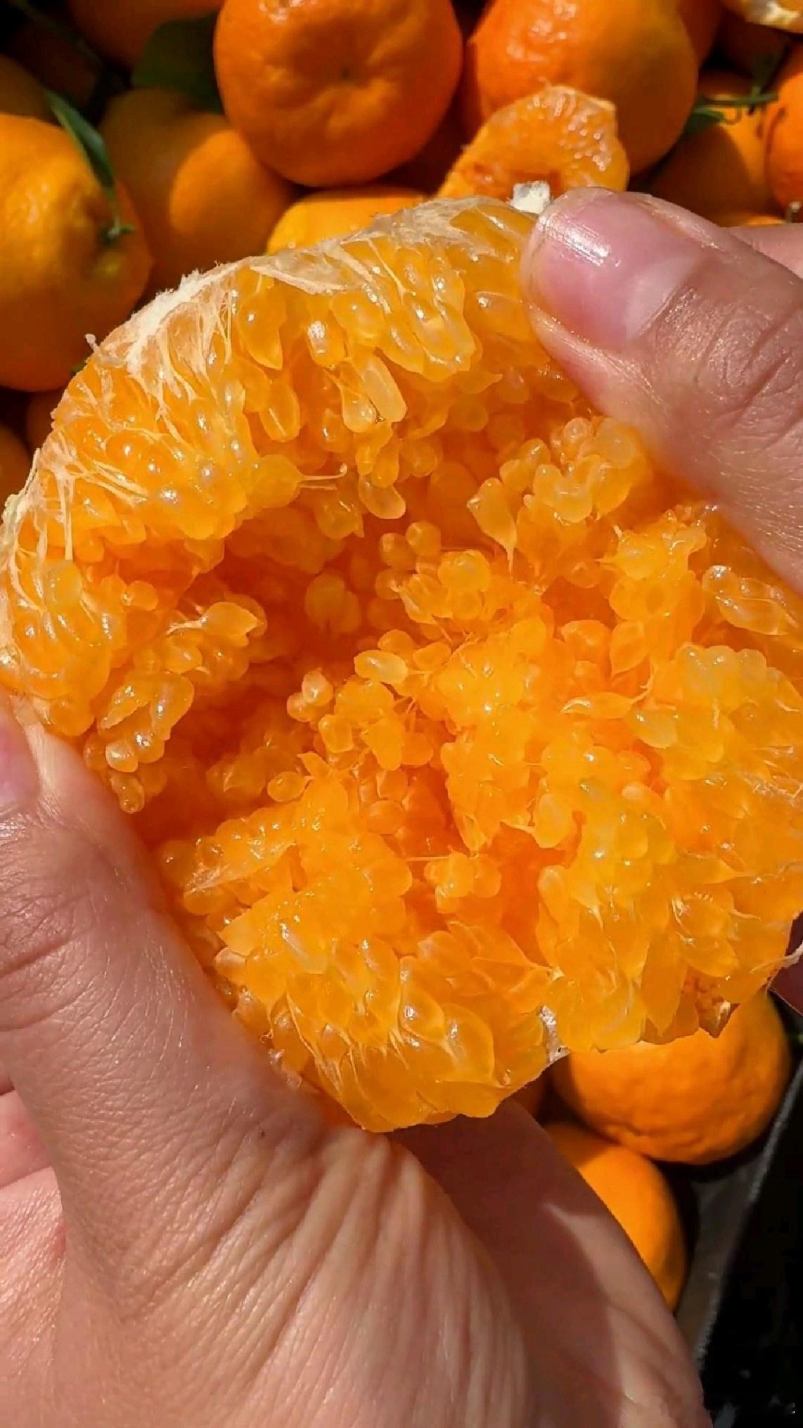 找到了剥橙子手不黄的方法我还是直接去吃耙耙柑或者是丑八怪吧，既友好又不会把手弄黄