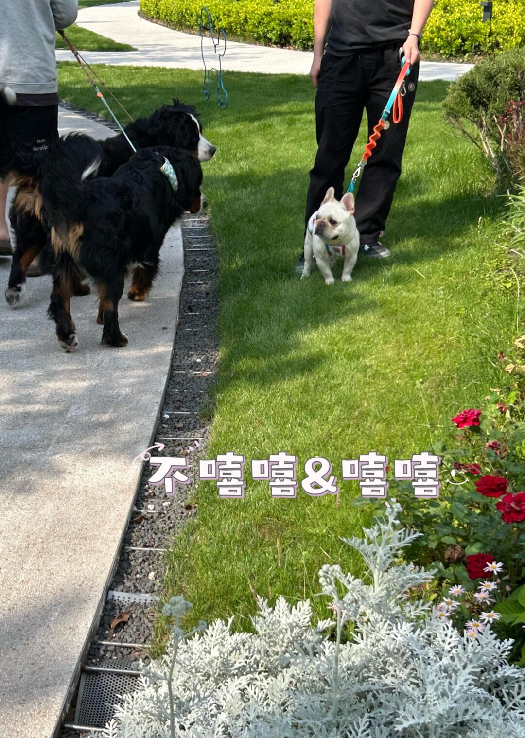 私密马赛妈妈酱，我再也不乱跑了