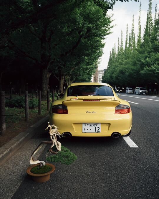 东京拍车｜亲爱的我出门“溜”盆栽