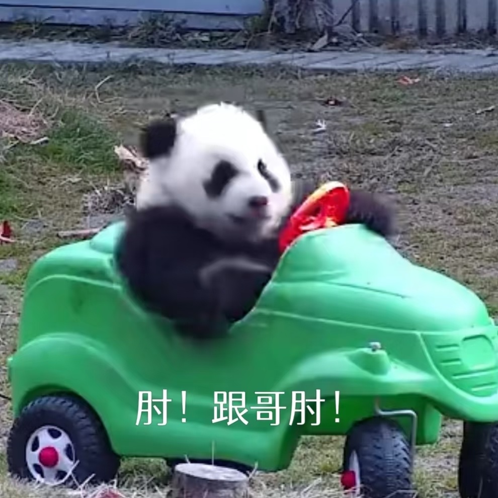 有没有可能是有点误解呢？新能源车当道，有的车也能凭座舱圈粉无数油车用户。核心在于