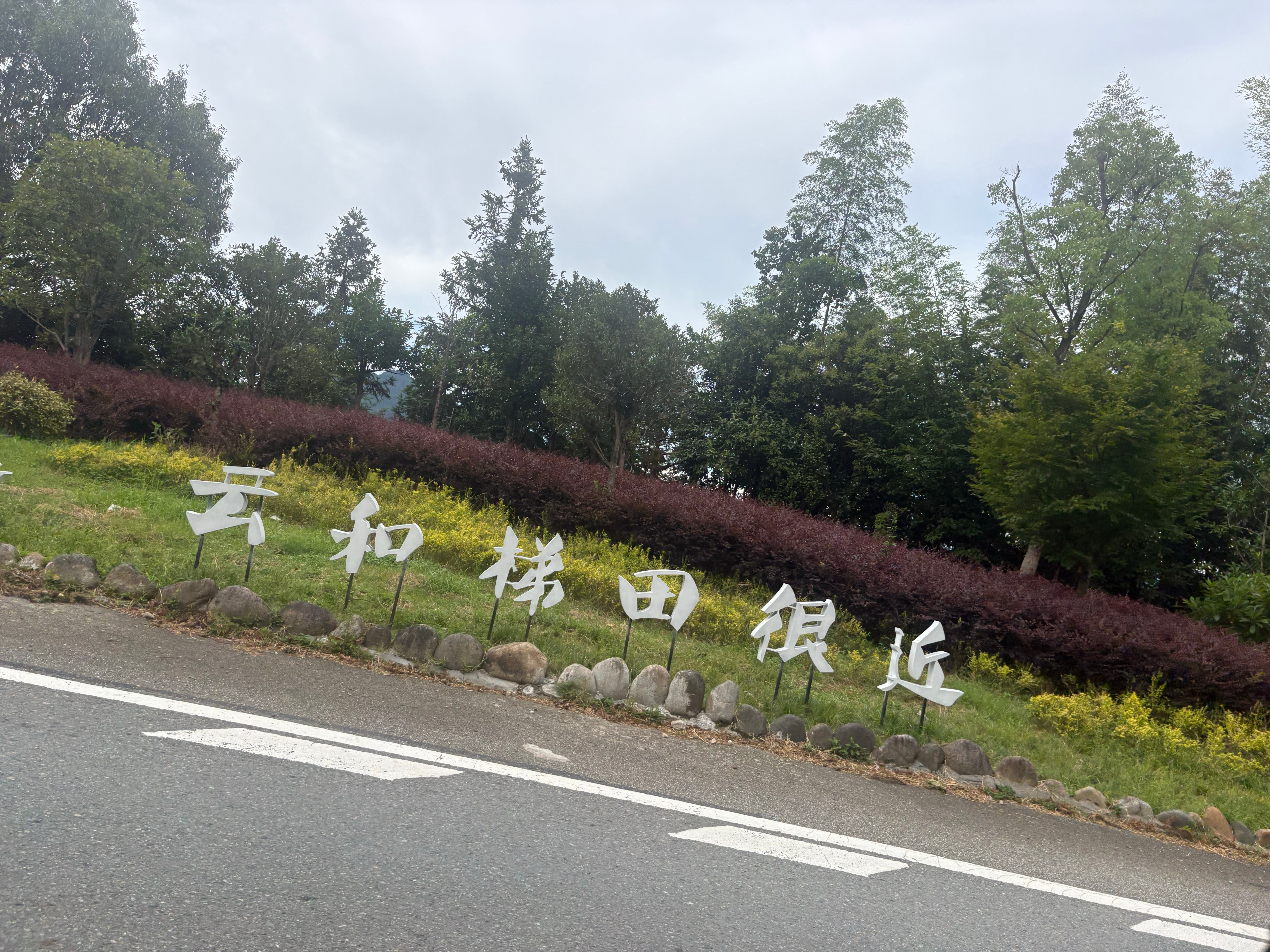 看到网友推荐一定要去看看云和梯田，我一看民宿不就在梯田前面几公里嘛，本来想今天回