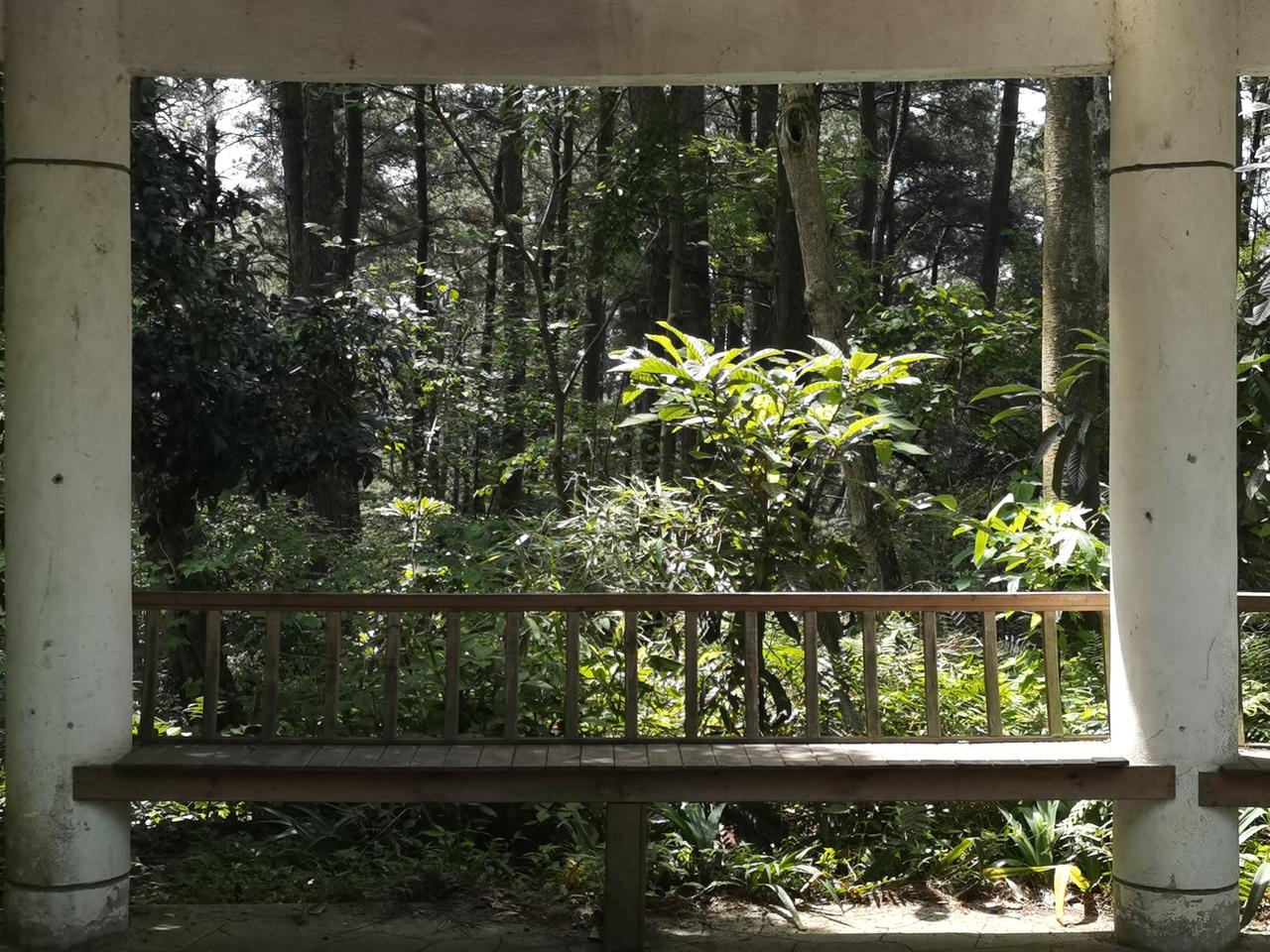 漫步贵阳——森林公园
去机场的途中，顺路在贵阳森林公园走了几步。公园的景，满眼的