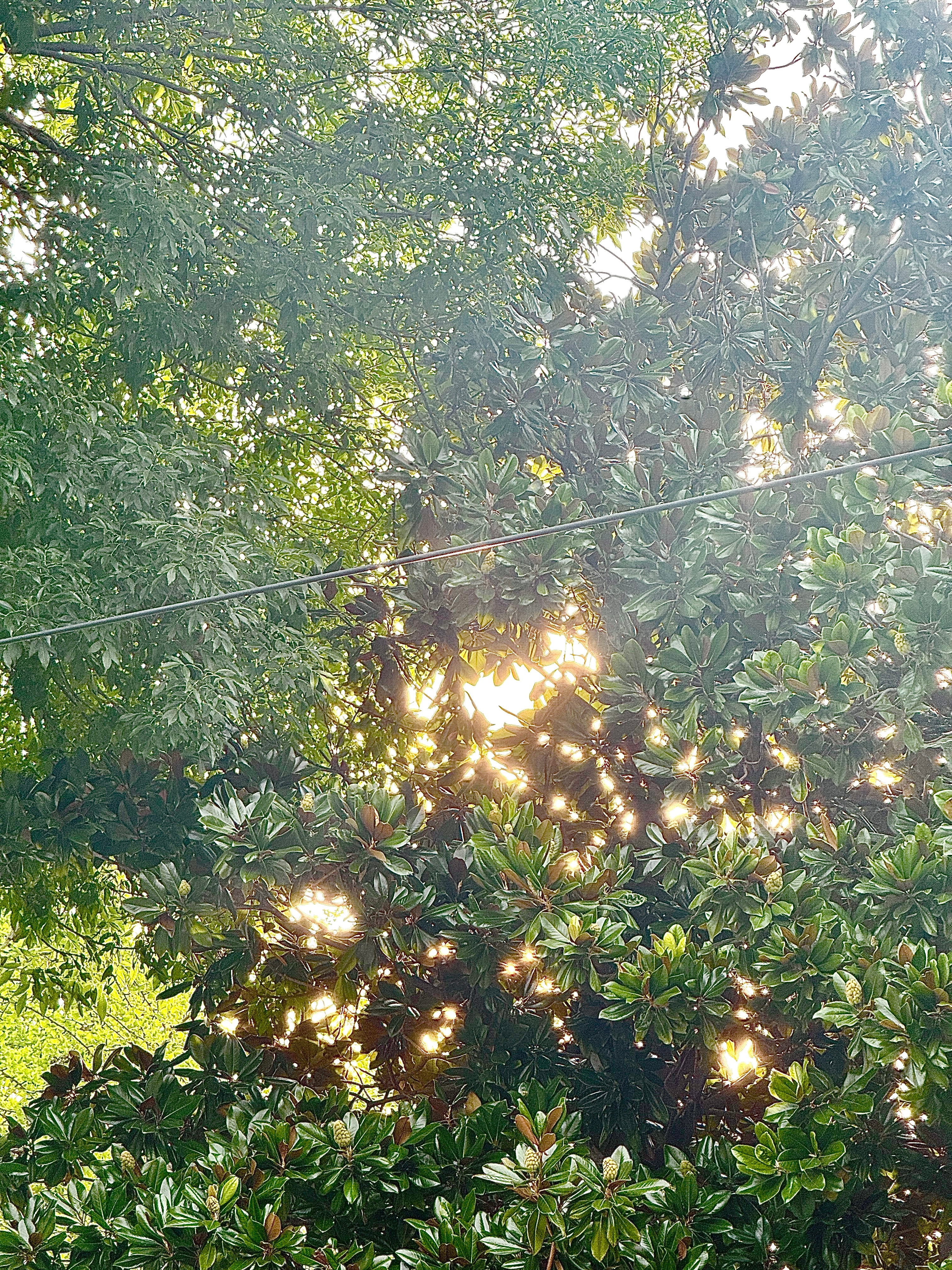 终于是出太阳叻 