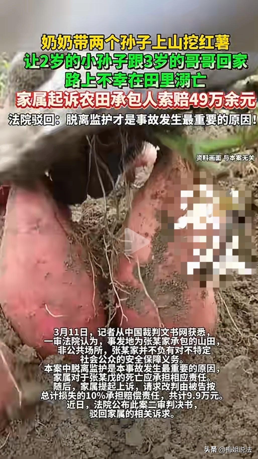 心太大了！56岁的奶奶在地里挖红薯，让3岁多的哥哥带2岁多的弟弟回家，弟弟意外掉