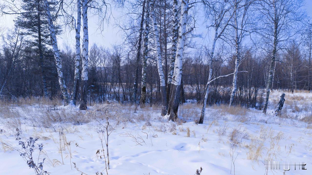 北大荒，那是一片神奇的土地！