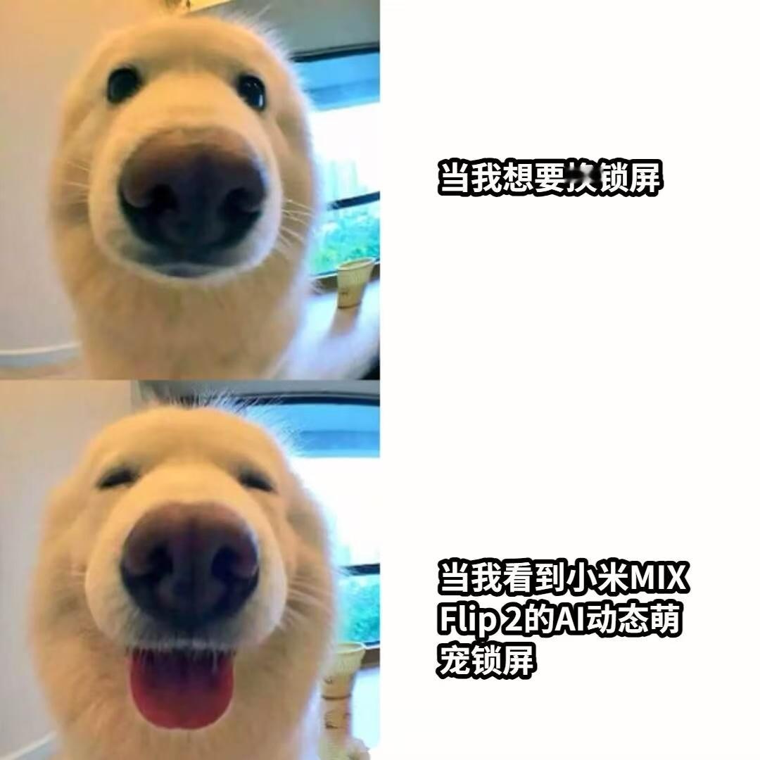 我看谁没刷到过红山动物天团的反差萌视频，每次刷到都挪不开眼，没想到小米手机竟然和