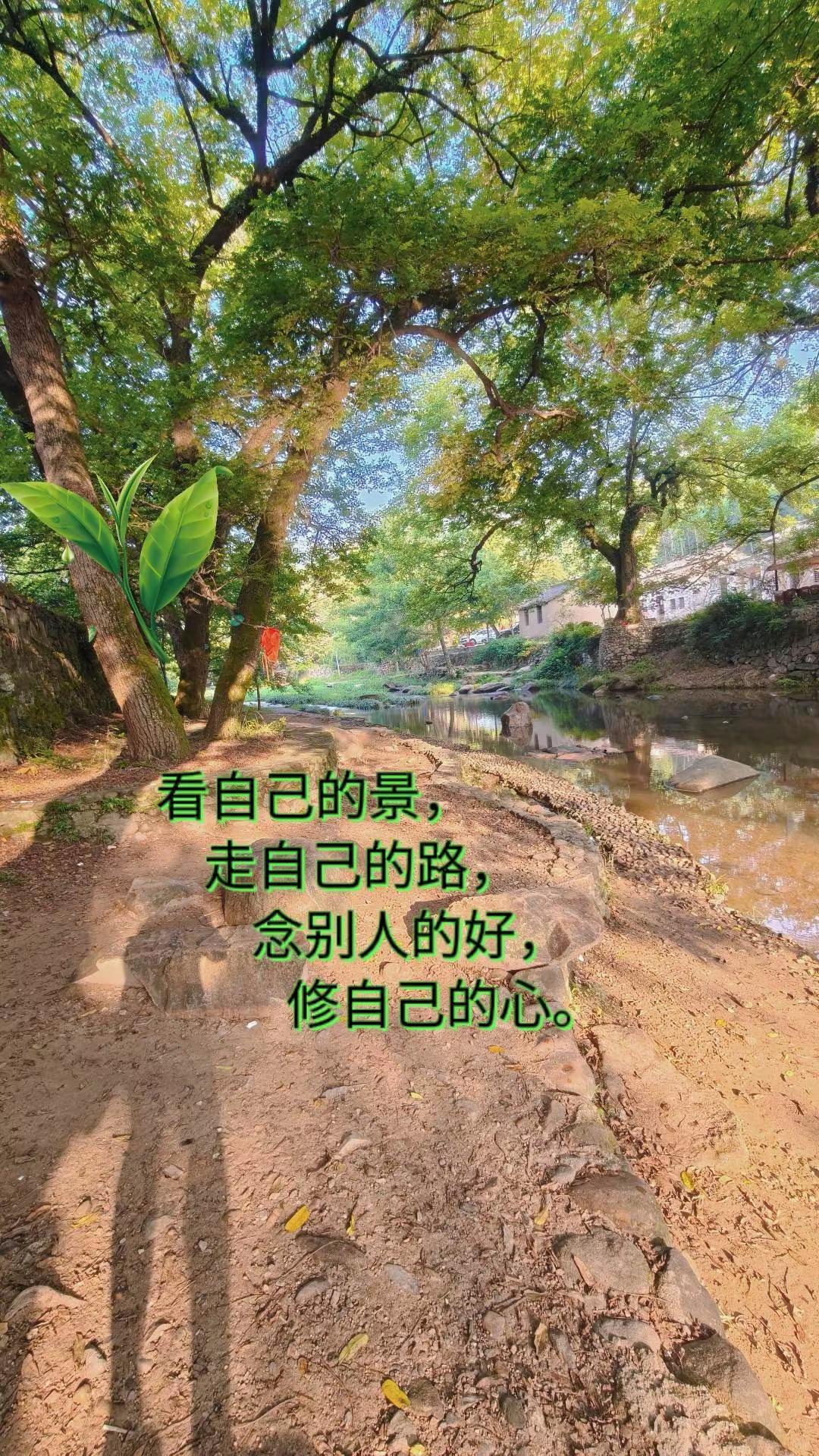 以真诚待人，以善良渡己。旅游让生活更美 大山里的原生态风与自由