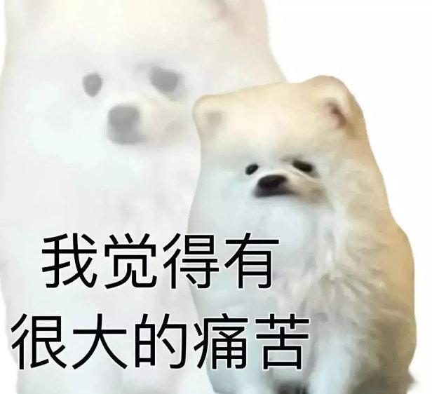 刚才听一个顾客宝贝吐槽，她说自己和男朋友恋爱处了将近五年，但是对方却丝毫没有要推