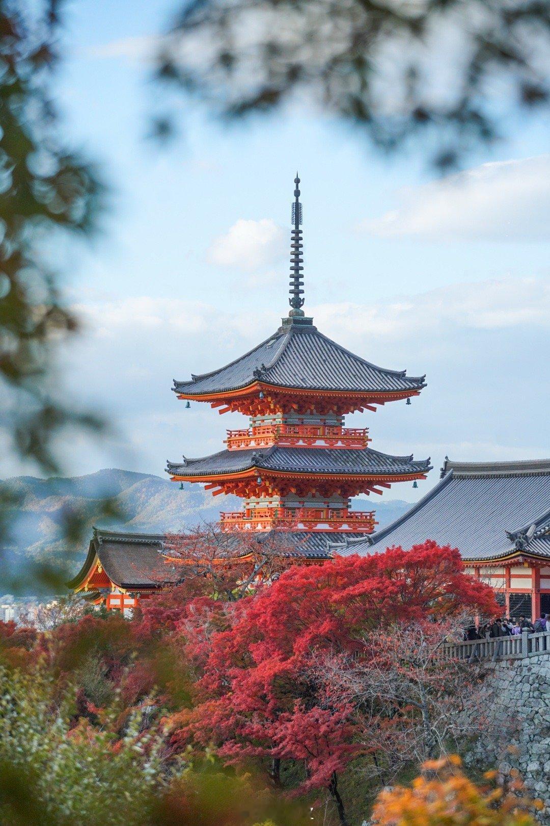 被红枫包围的清水寺，像是燃起了红色火焰，也太美了。虽然来赏枫的游客巨多，但是作为