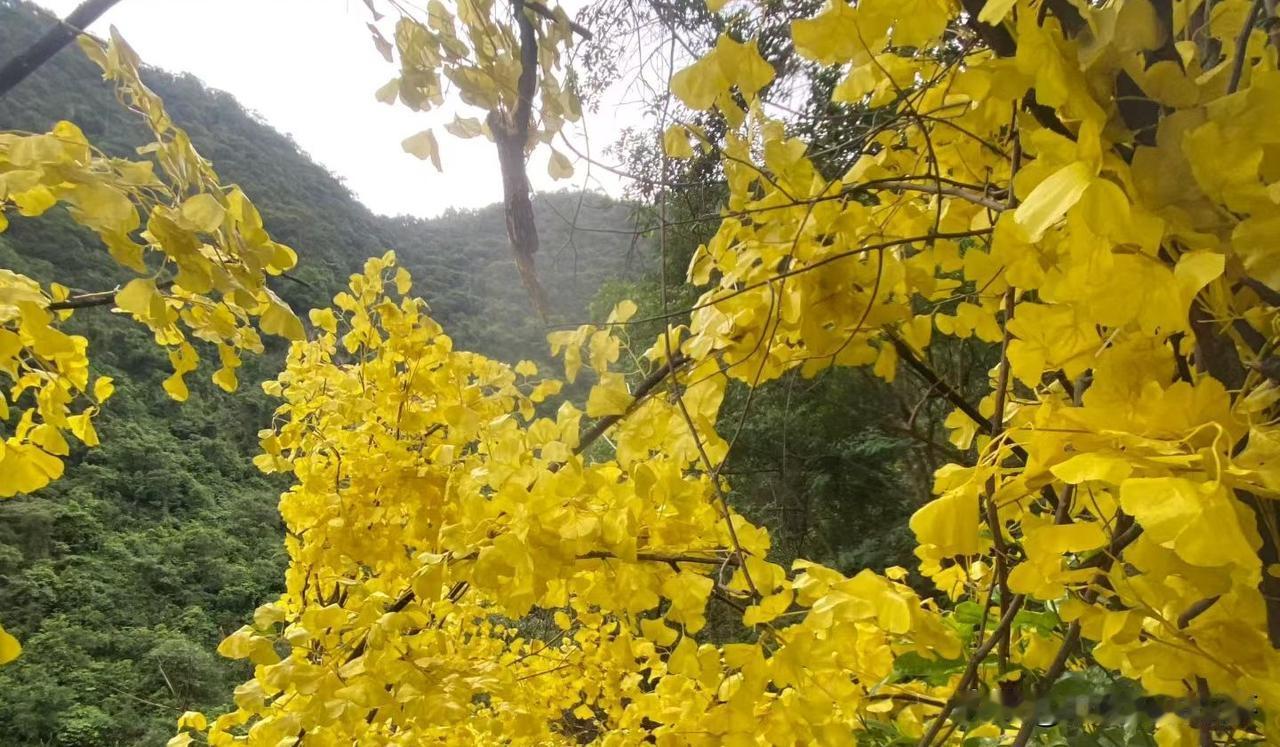 ❤️生活中有些课题你越躲，它越来。迟迟不肯面对的那些课题不会凭空消失，只会在你往