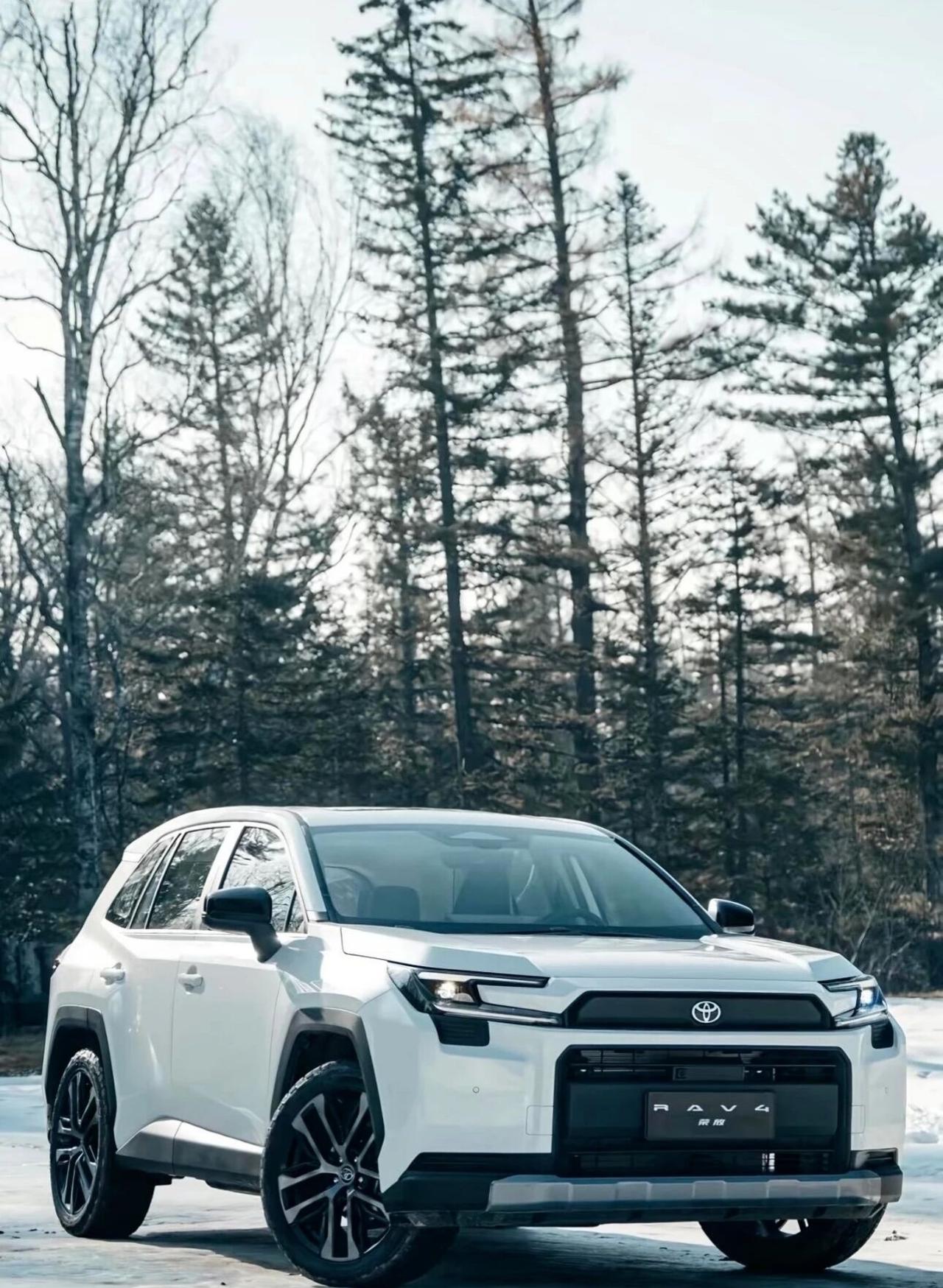 丰田双冠再封神！第六代 RAV4 荣放交付，15 万级家用王炸2025 年丰田以