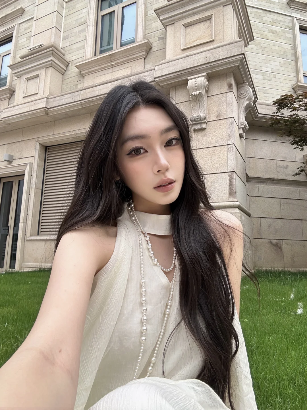 🕊️