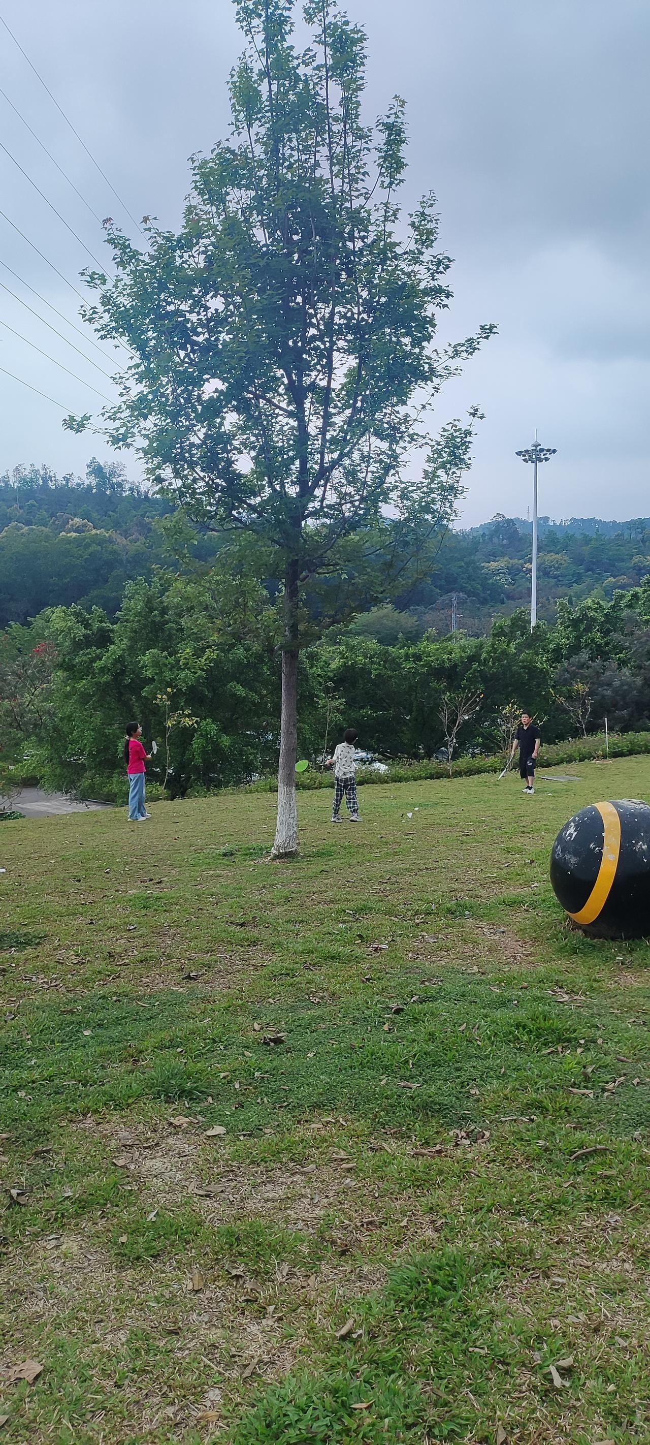 退休了，每天这样安排生活，身心健康，心情美。
李姐夫妇俩都是七旬老人，他们的退休