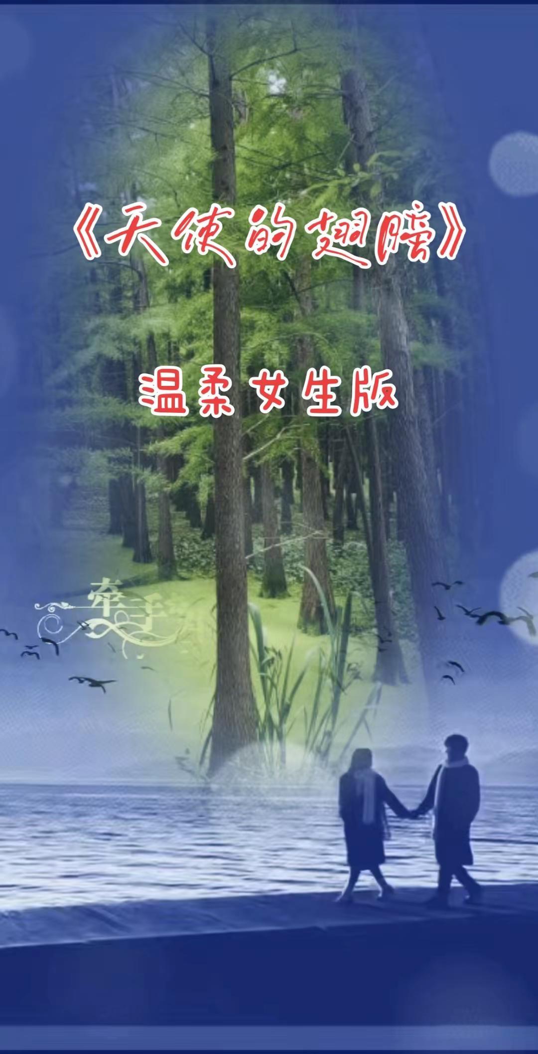 感受树林里的阳光 与自然独处的时光 自然治愈日常 特效视频
