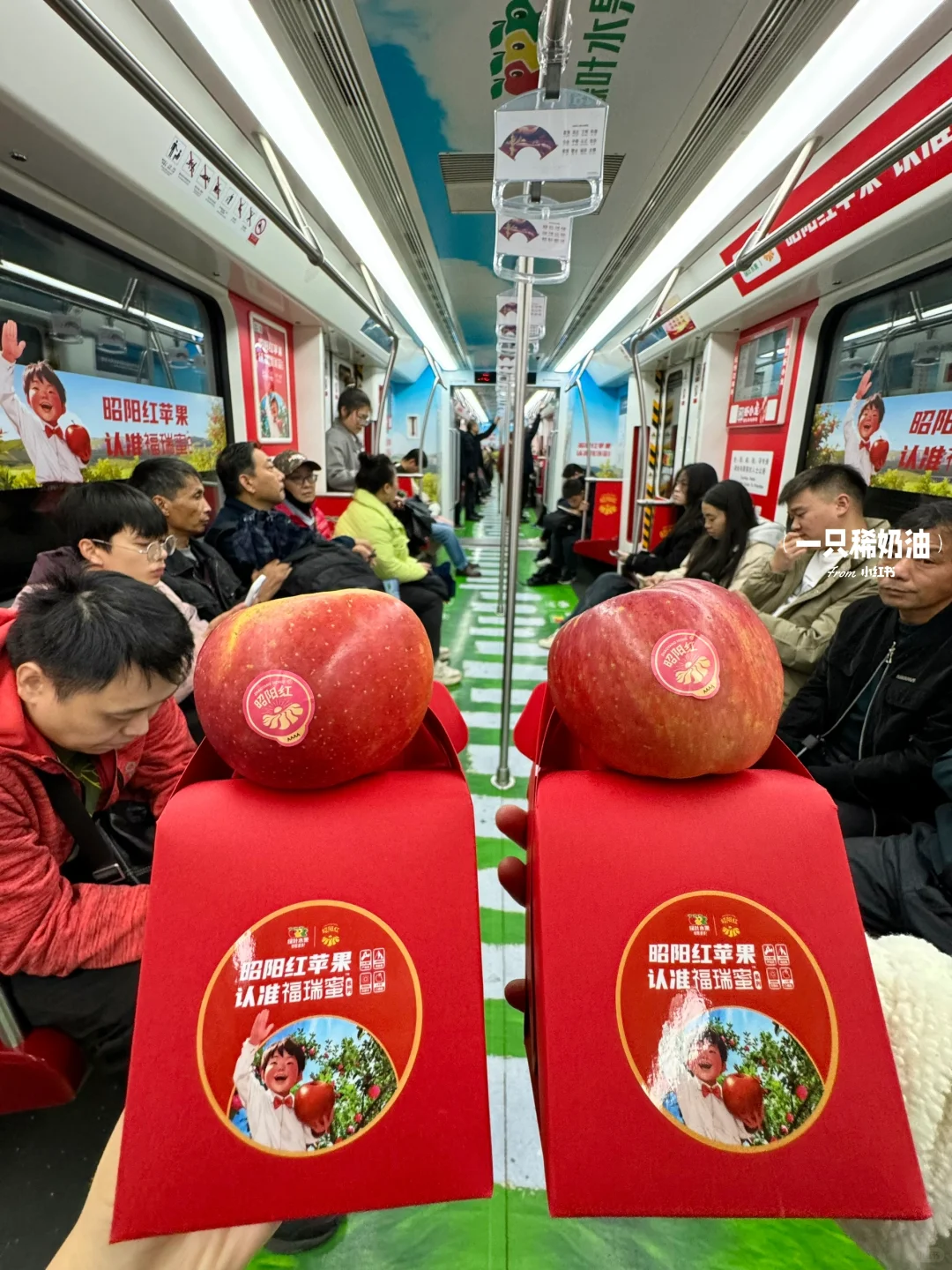 长沙果然是大城市，有水果免费领！！！