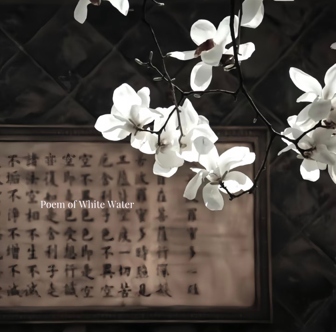 昨 夜 雨 疏 风 骤 🪷 
