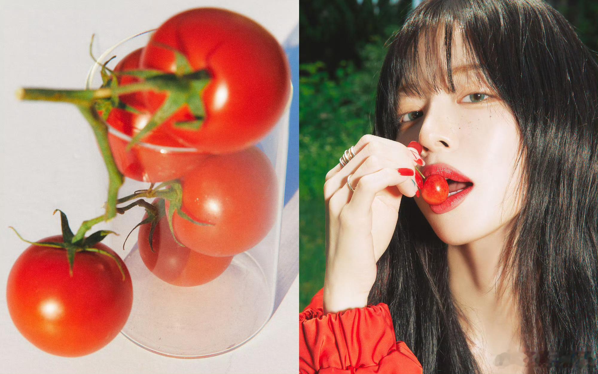 fromis9正规二辑fromis9夏日回归fromis_9fromis_9 T