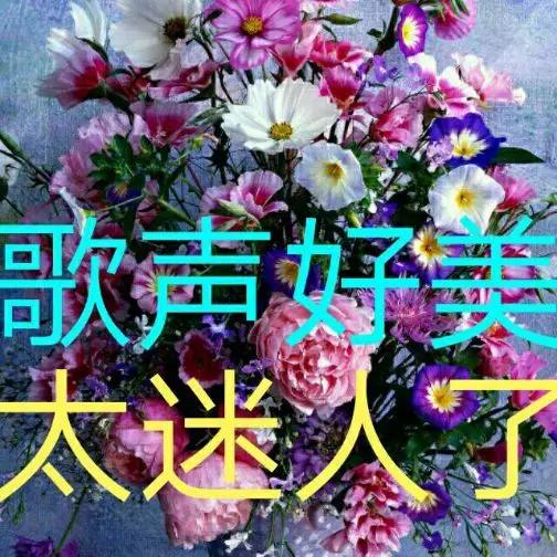 绝美画面+神仙歌声，直接封神！🔥
