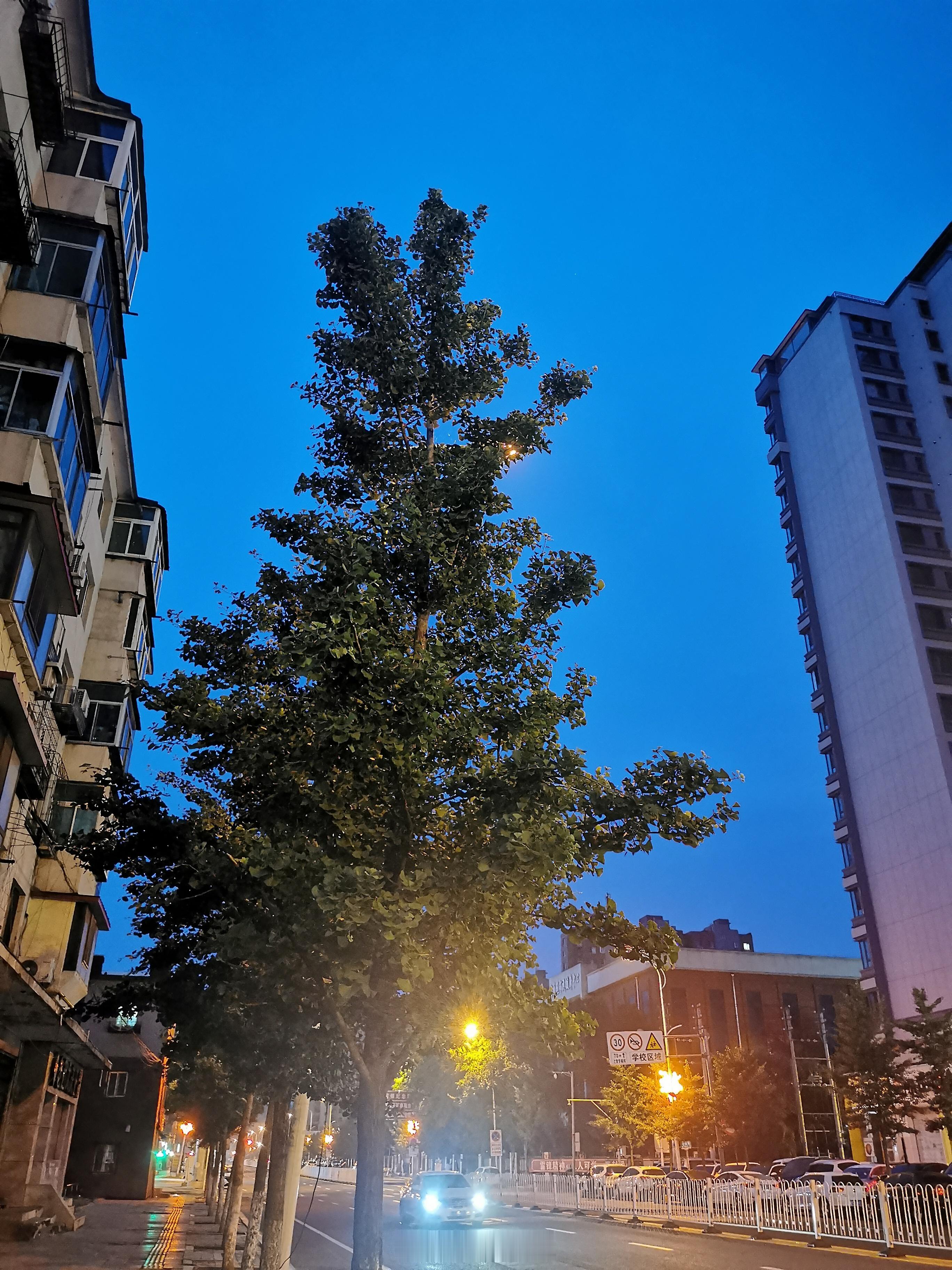 凌晨三点半，已经快天亮 