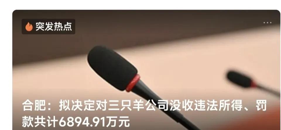 合肥市政府部门终于出手解决大洋哥和小杨哥的销售假货案了！

下图为最终处罚结果。