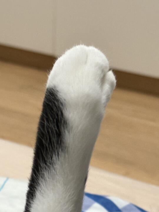 谁敢亲