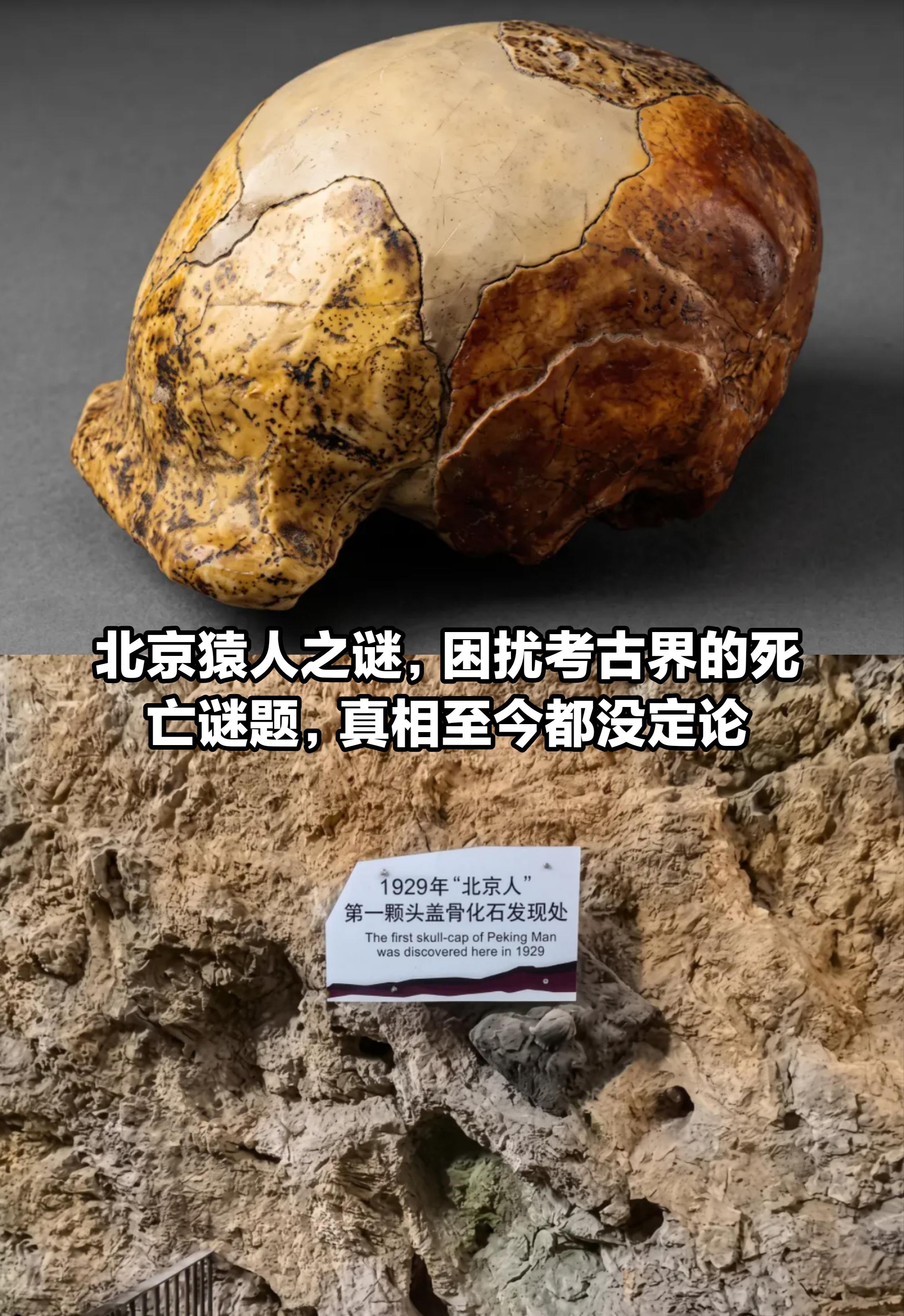 北京猿人之谜，困扰考古界至今的谜题。