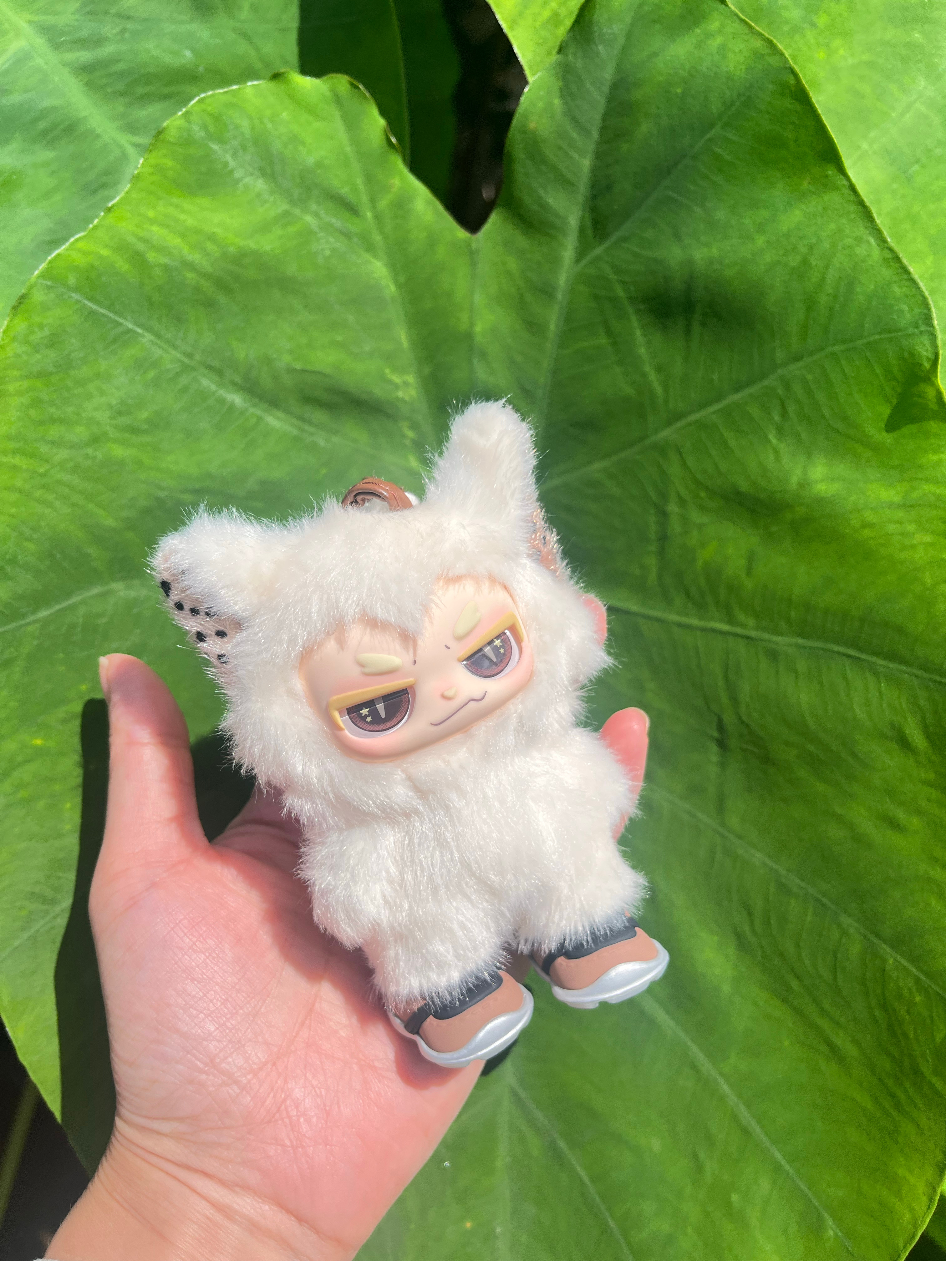 今天是收官小嗷陪我出门💚