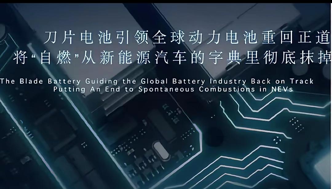 比亚迪现在干了一件事，从三十万的车到十万的车，电池全给统一了。

清一色的磷酸铁