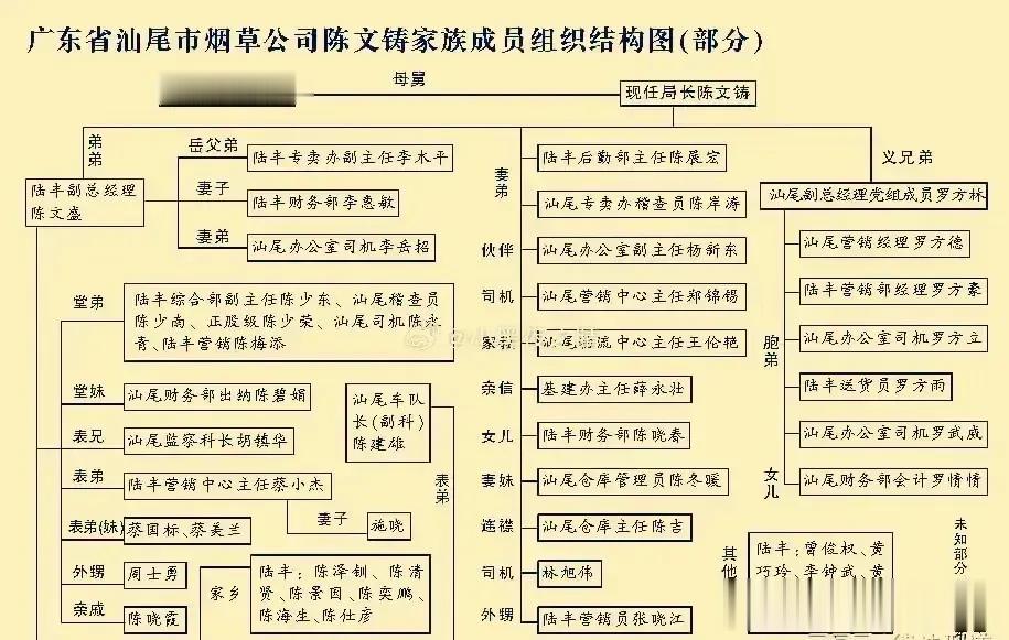 震惊！看完广东省汕尾市烟草公司陈文铸家族成员结构图，只想说，烟草行业太腐败了。
