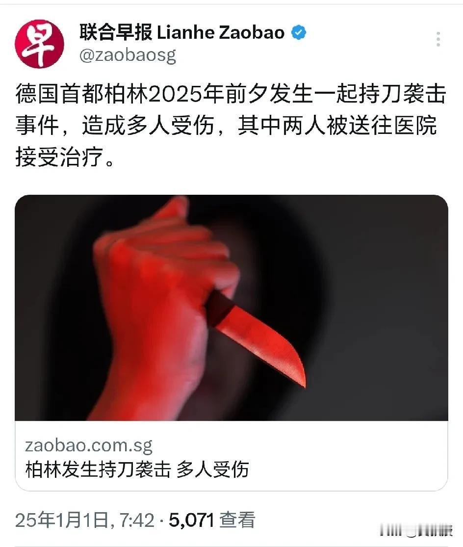 德国柏林出现报复社会